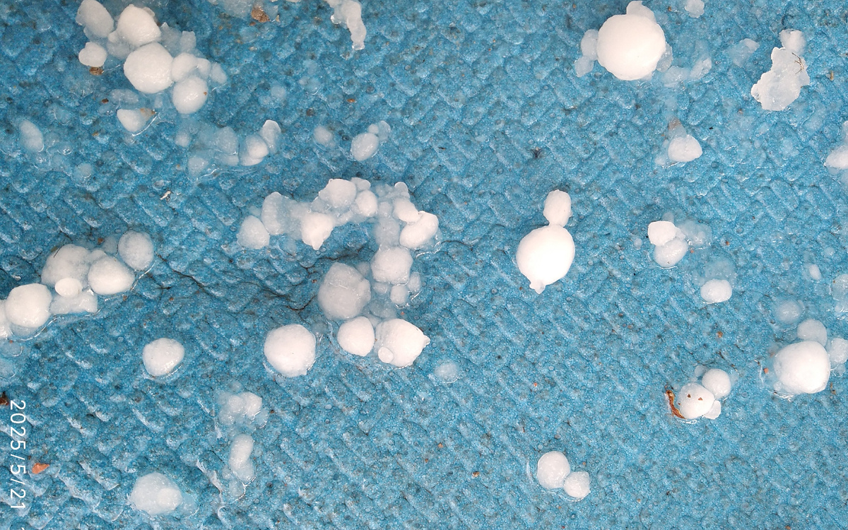 На балконе, фотография моя