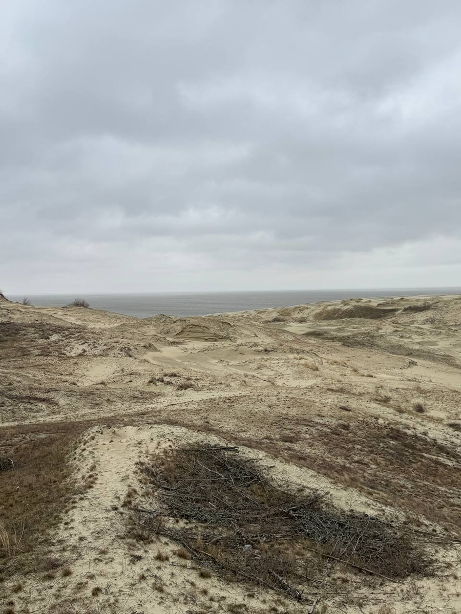 Куршская коса