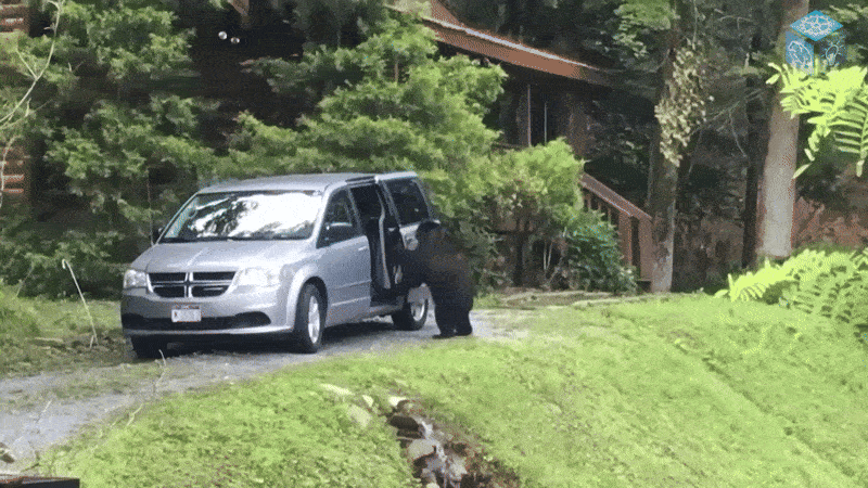 Нравится Формат? Поддержи Канал Лайком и напиши какой эпизод понравился больше всех
