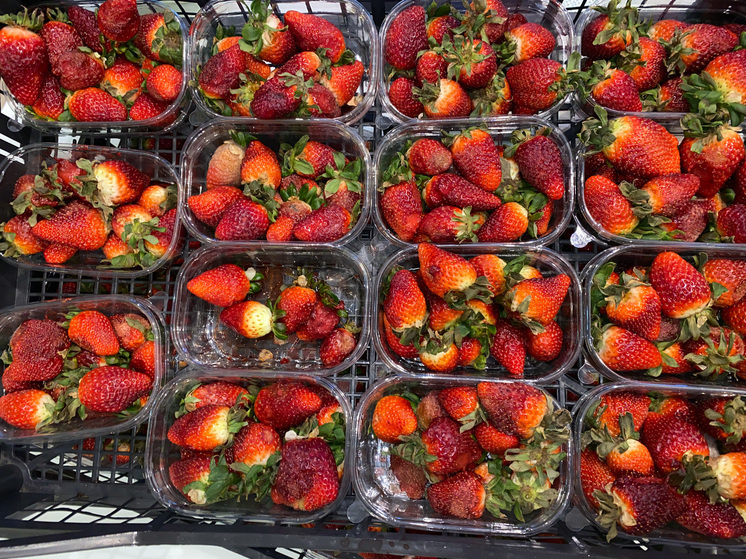     В красной ягоде больше витамина С, чем в апельсинах. Фото: Архив МК в Великом Новгороде