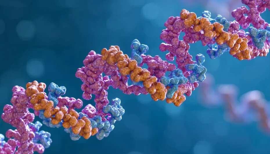    Сгенерировано в Midjourney/NEWS.ru