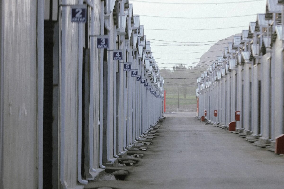 Листайте вправо, чтобы увидеть больше изображений