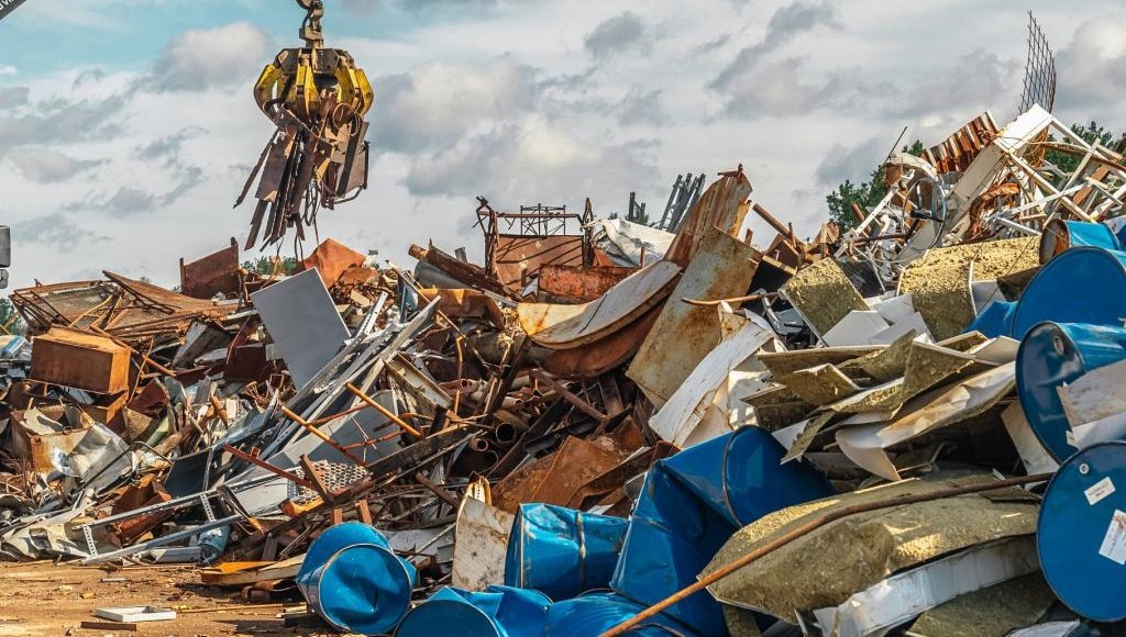    Фото: Росприроднадзор