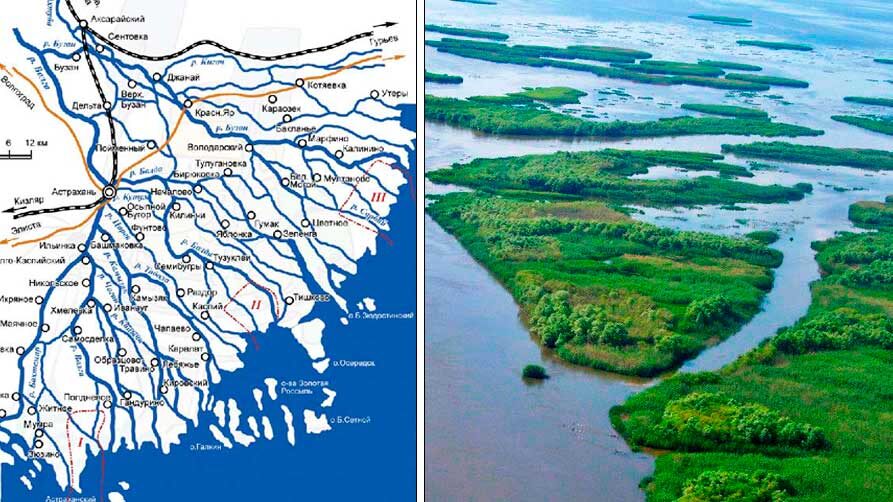 Дельта Волги