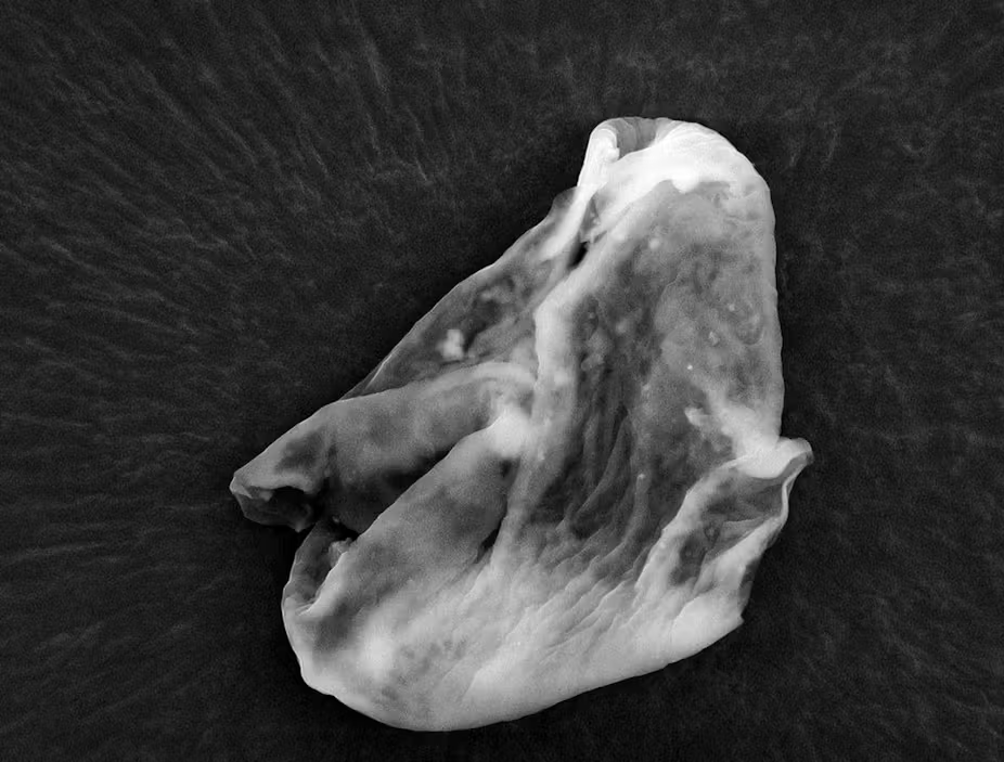 Забавно выглядящий инопланетянин