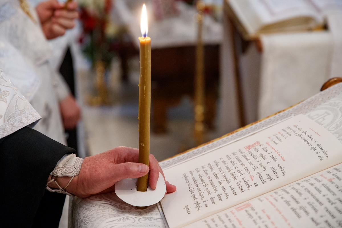 Фото открытого источника сети