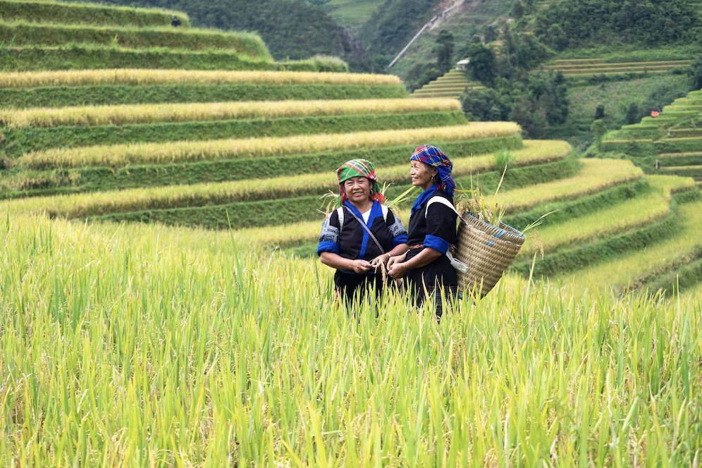 Женщины-хмонги – представители малой народности Вьетнама