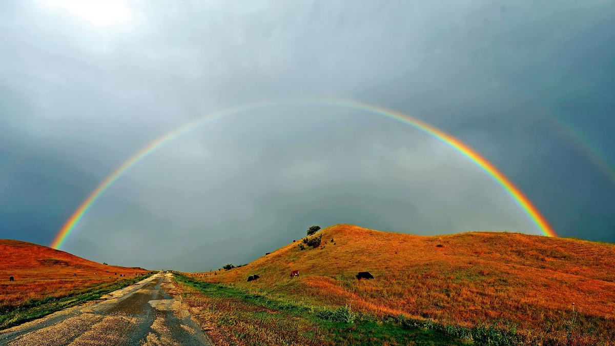 © photo: courtesy of Badri Vadachkoria 
