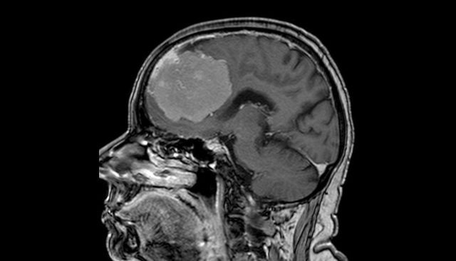     Фото предоставлено пресс-службой Минздрава Воронежской области