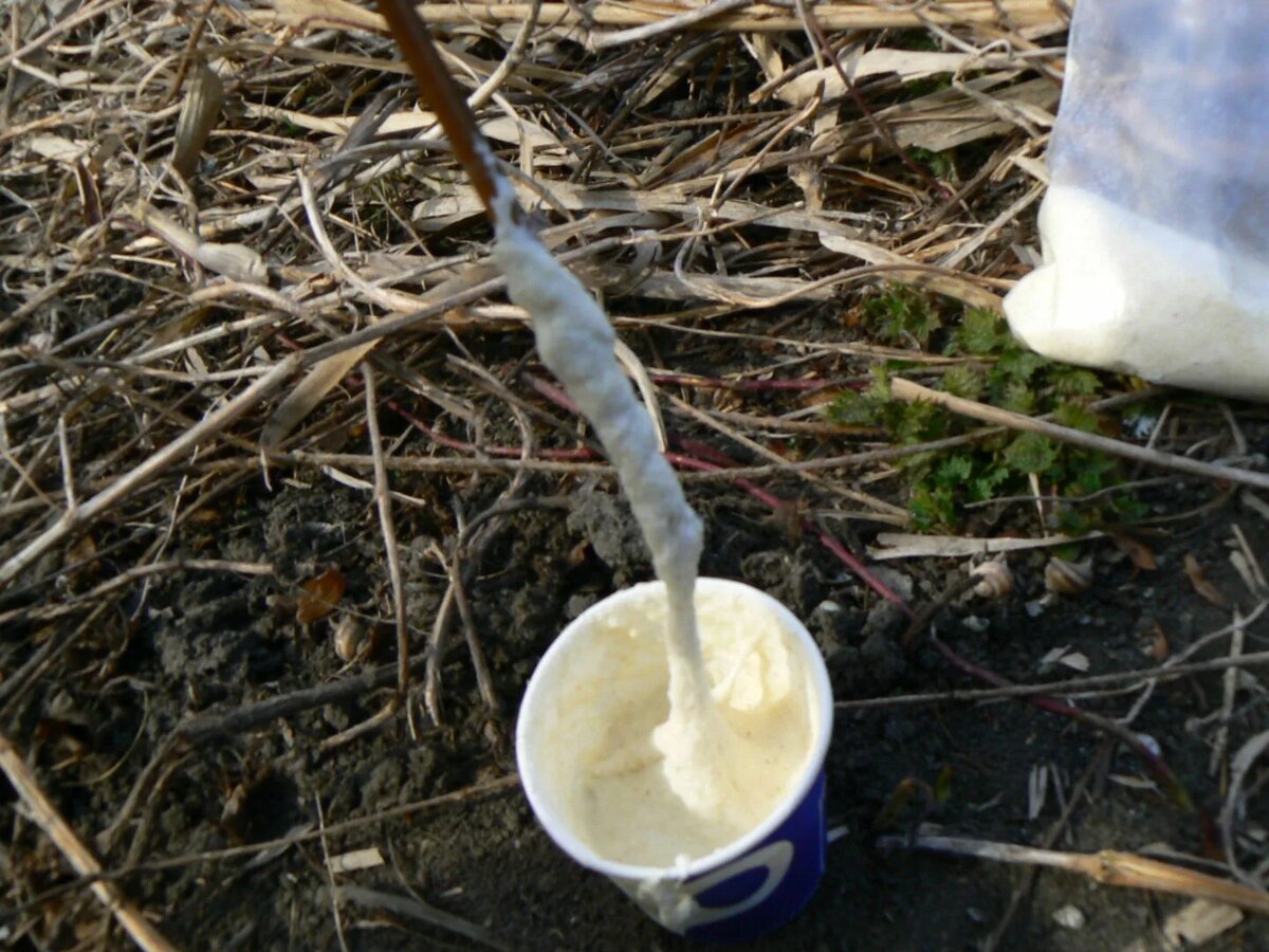 Можно добавить чуть сахара или ванилина для аромата — тогда клев вообще весёлый