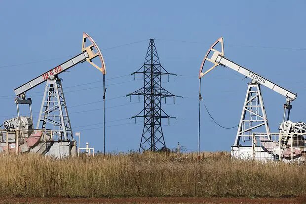    Фото: lenta.ru Оливия Ильинская