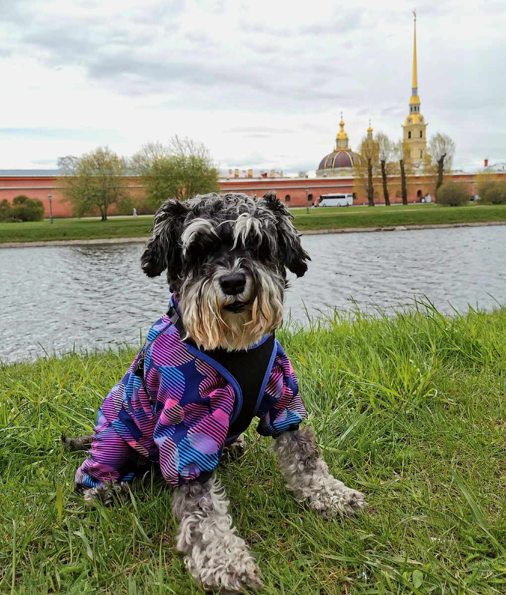 В Петропавловскую крепость собак не пускают, но нам очень повезло с охранником