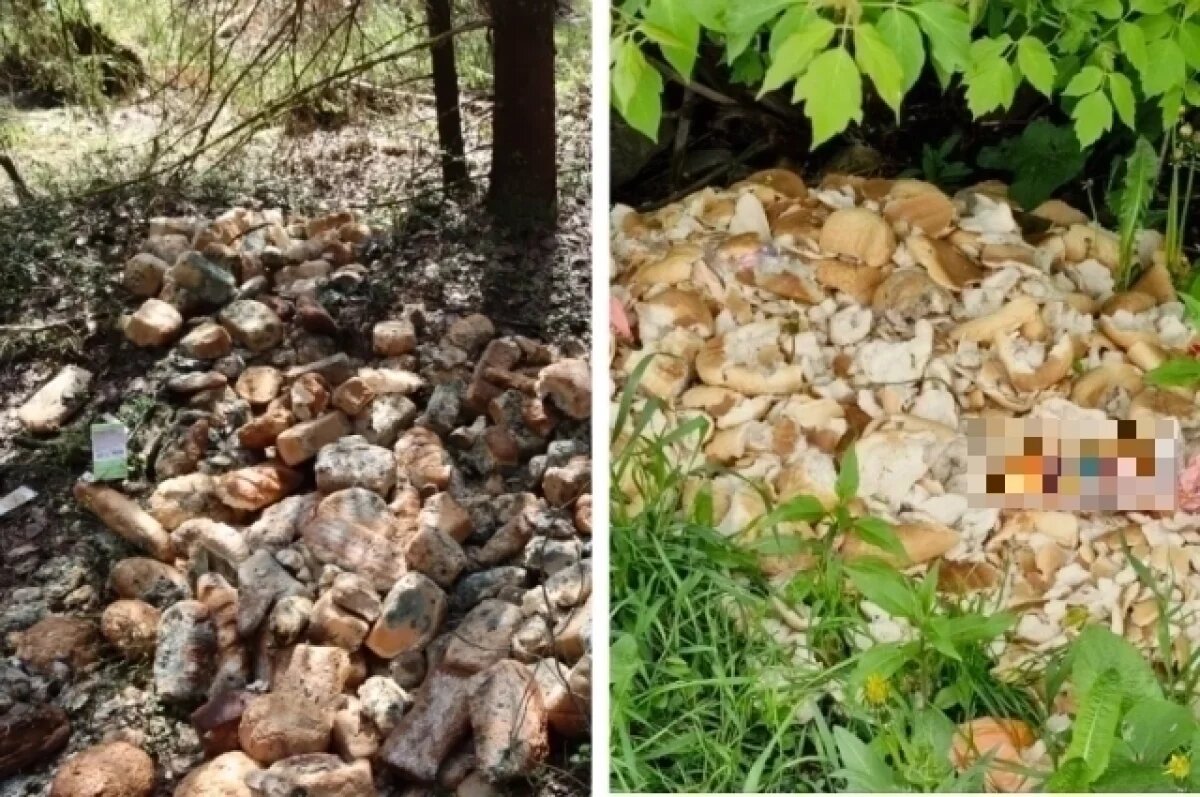    За одну неделю стало известно о двух свалках хлеба в Кировской области