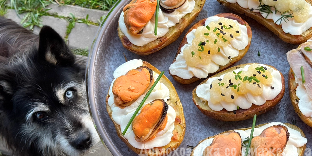 Обычный ужин превратился в праздничную закуску! Мой новый фаворит!