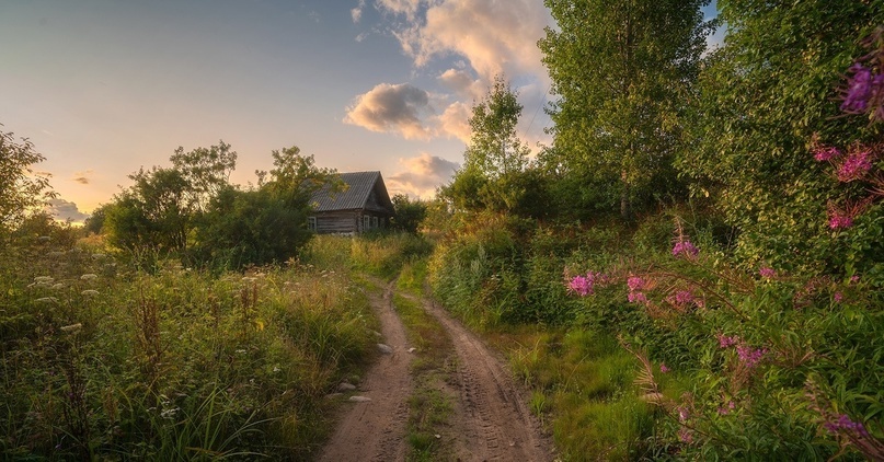 фото из открытого доступного источника сети интернет