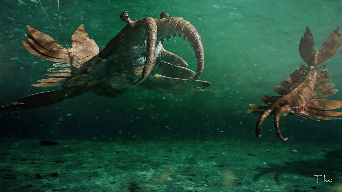 Появление хищников навсегда изменило правила игры в океане. На фото аномалокарис — один из ярких представителей хищной фауны