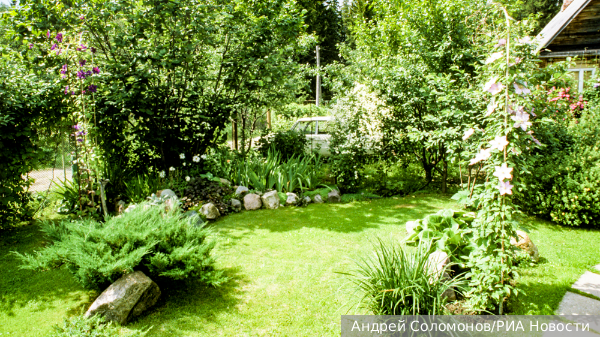     Фото: Андрей Соломонов/РИА Новости   
 Текст: Ольга Никитина