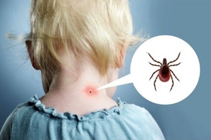 Фото из открытых источников.