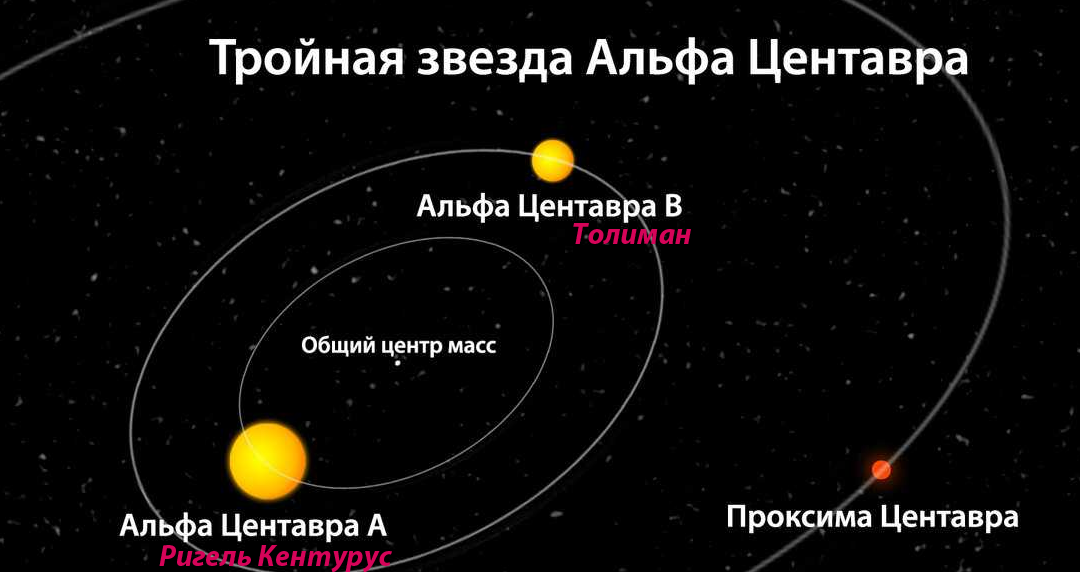 Схема с примерным соблюдением масштаба звёзд. Радиусы их орбит, естественно, не соблюдались даже примерно (с) Яндекс.Картинки