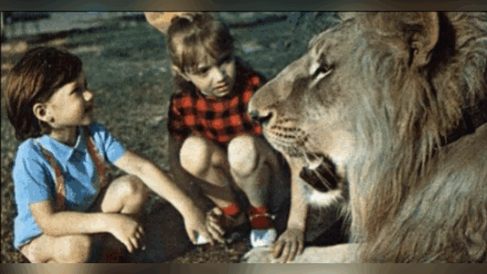 Гиф  автора