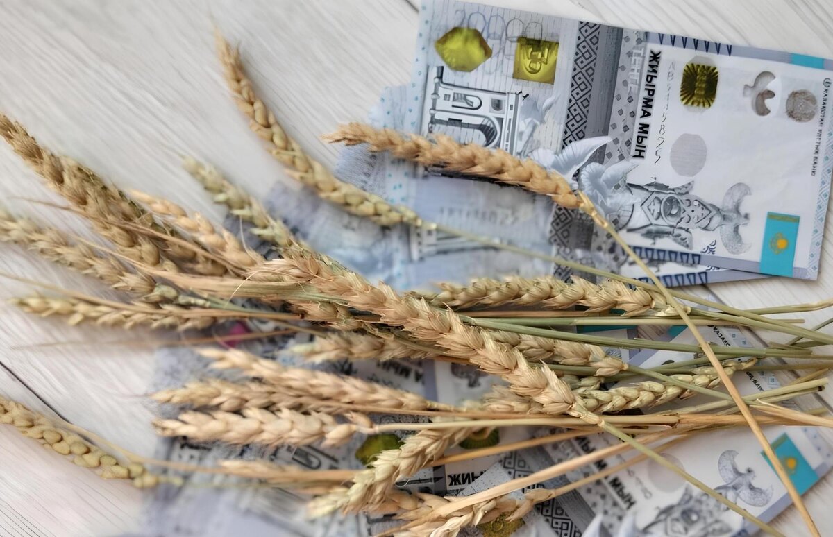 Фото: АПК Новости