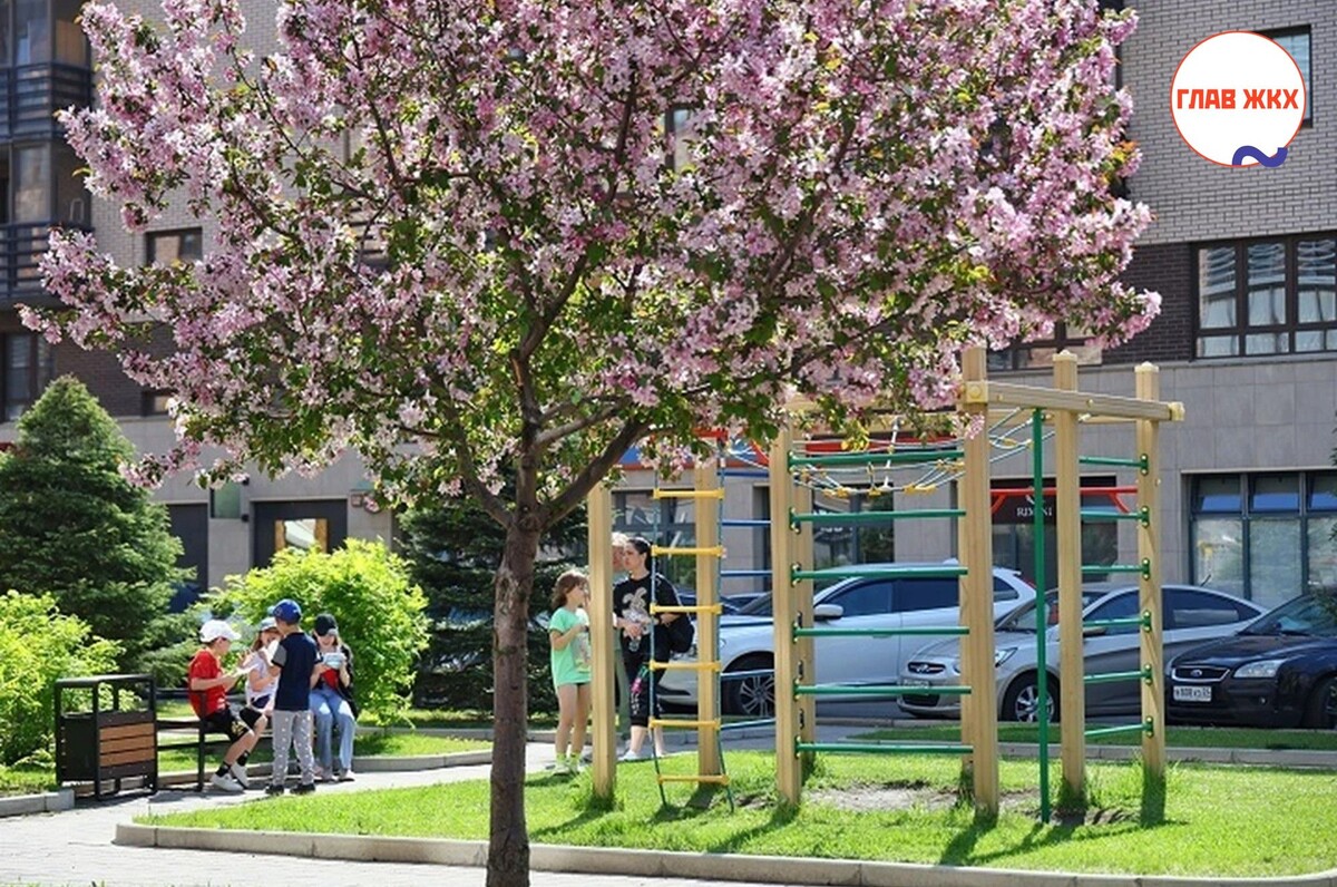 В Хабаровске подвели итоги конкурса проектов территориального общественного самоуправления
