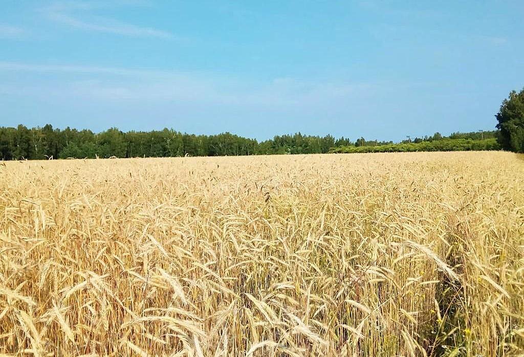 Фото: Е.Карабанов