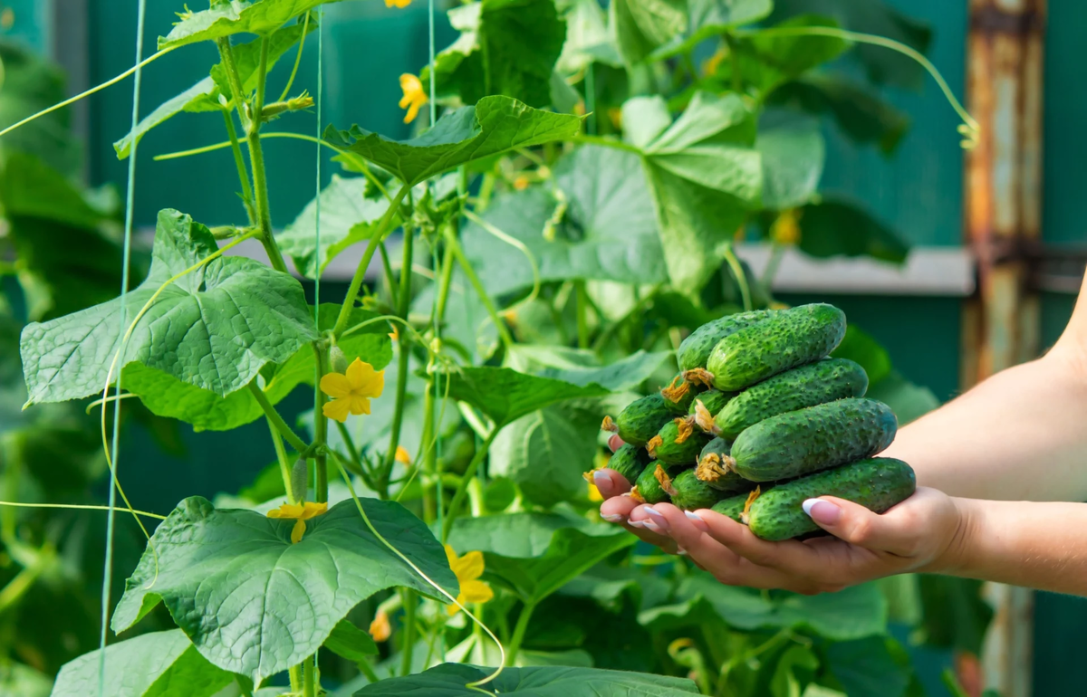 Фото из личного архива 2022 г.