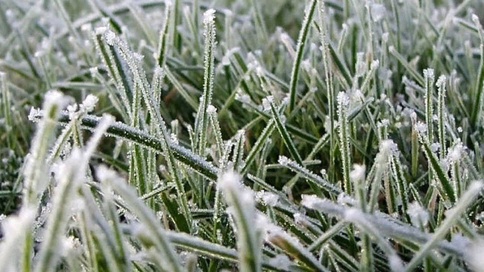 Фото: ГУ МЧС России по Краснодарскому краю