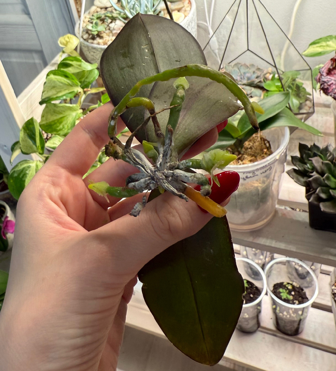 Спустя 3 недели в «моховом гнезде»