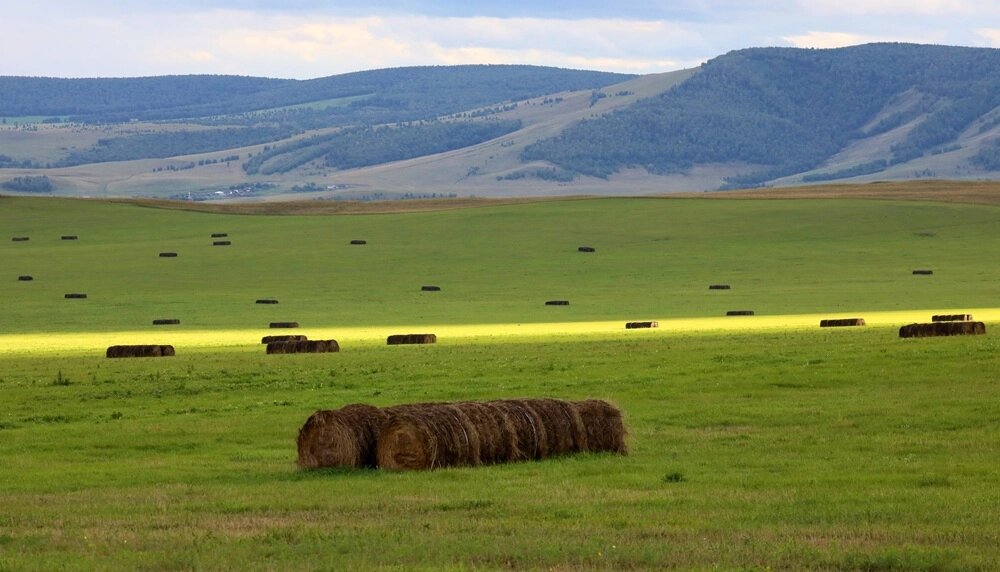    Хакасия. Фото: РИА Новости/ Илья Наймушин