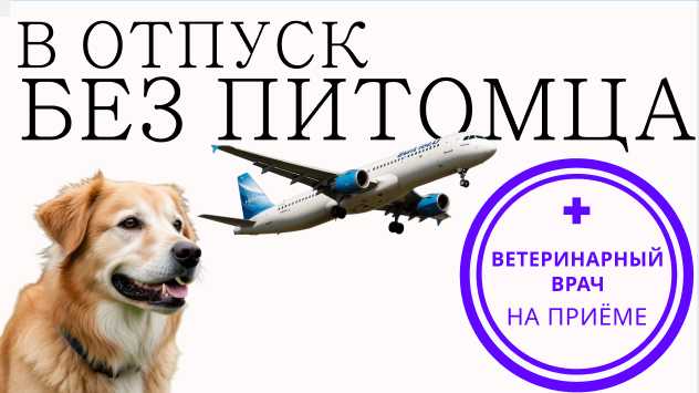 Кто присмотрит за питомцем во время отъезда хозяев