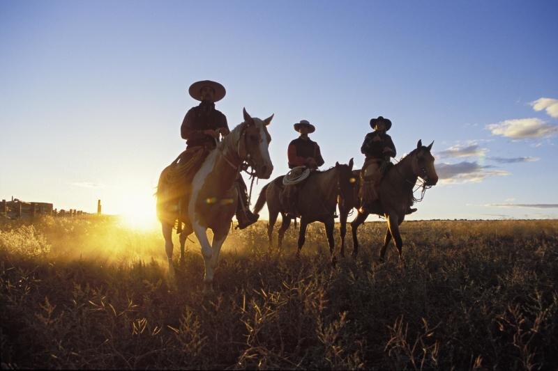    Konrad Wothe/imagebroker/Global Look Press