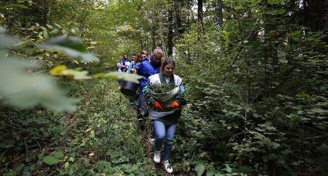    РИА «Новости»