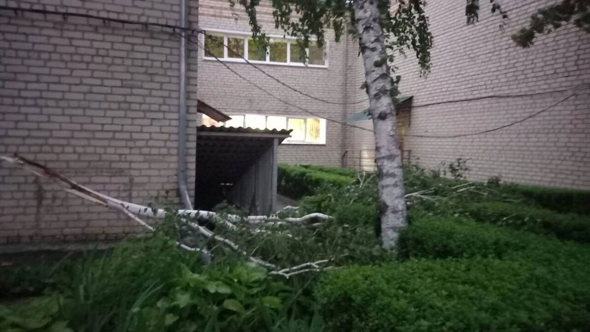     Источник: Официальная страница Главы Новоалександровского округа