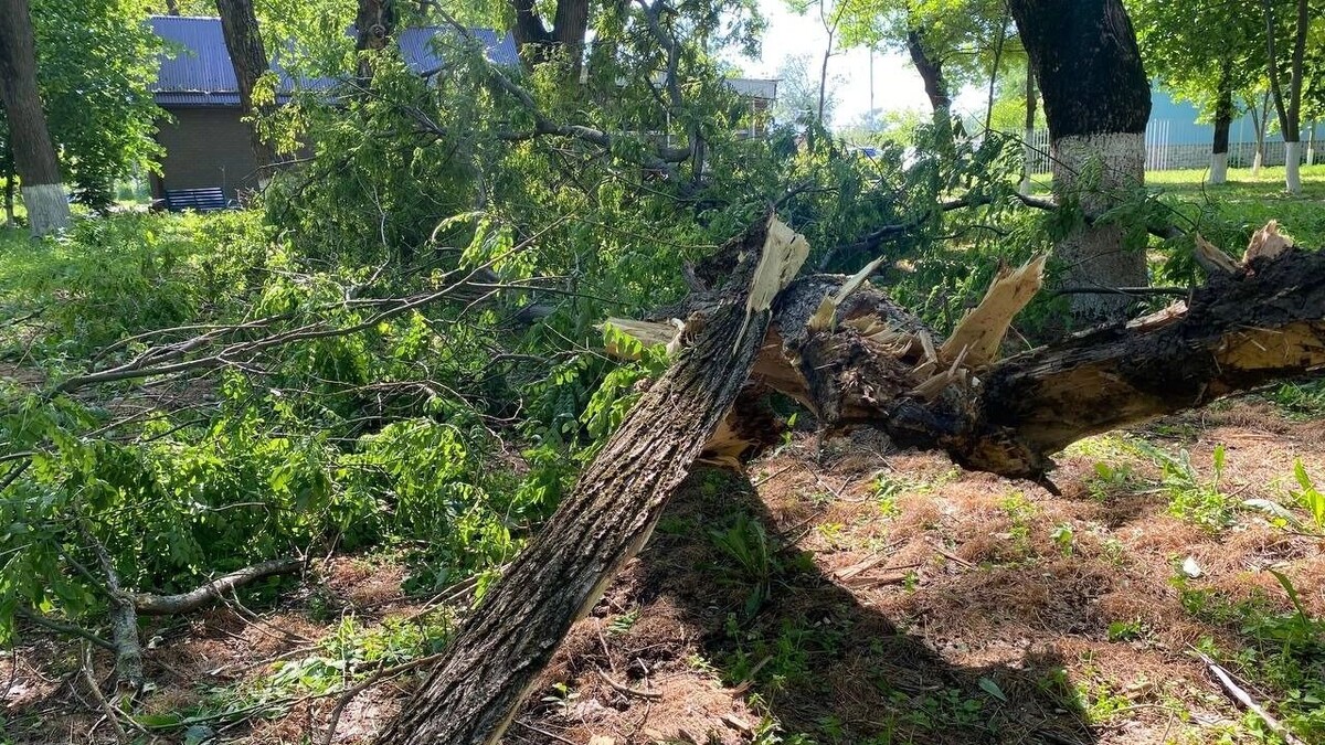     Источник: Официальная страница Главы Новоалександровского округа
