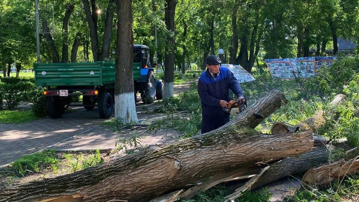     Источник: Официальная страница Главы Новоалександровского округа