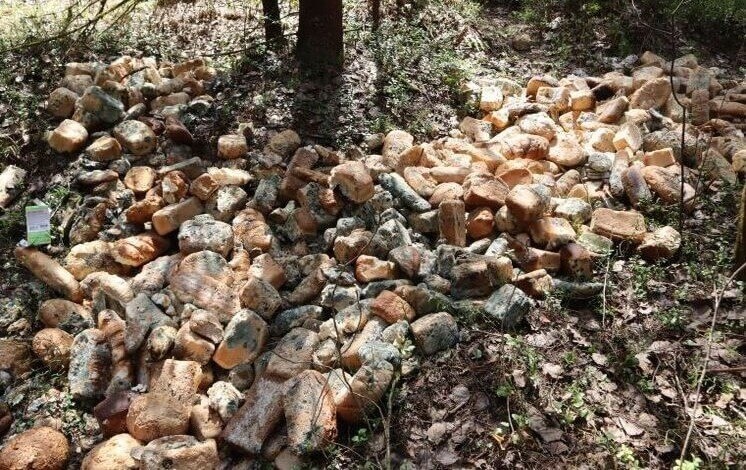    Фото: Народный фронт Кировской области