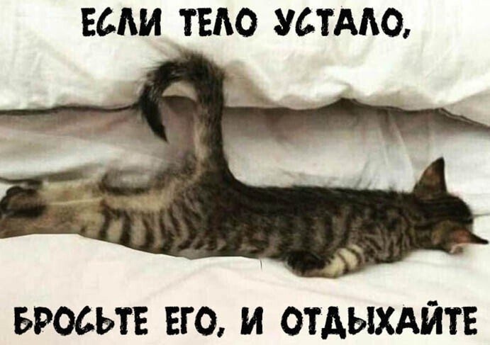 Фото из открытых источников сети Интернет 