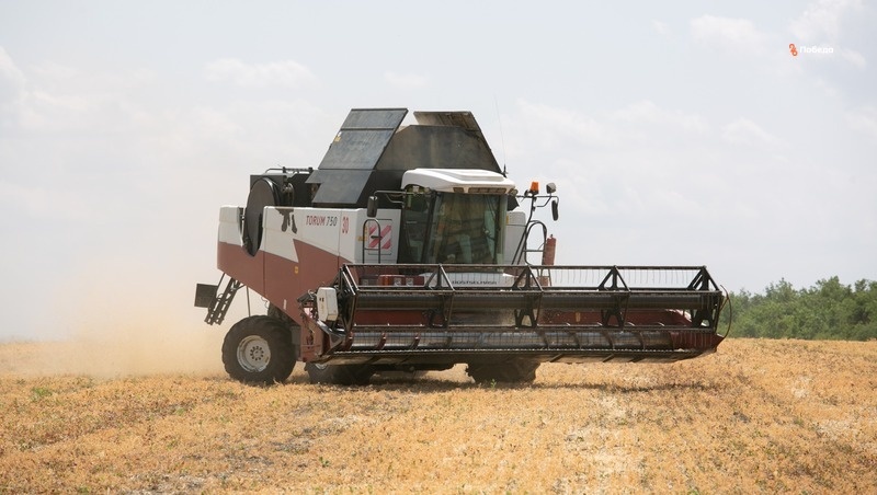      Фото: ИА «Победа26»