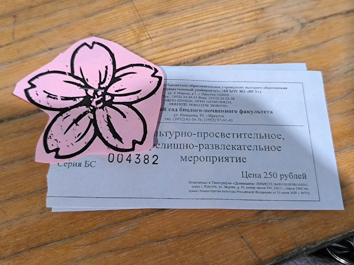 450 ₽ – взрослому, 250 ₽ – ребёнку (© Анна, «Маяк энерджайзера»)