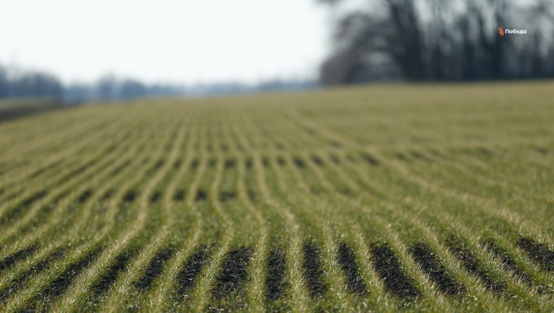      Фото: ИА «Победа26»