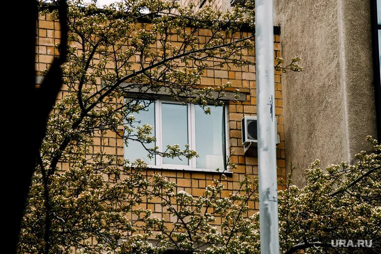 Полиция просит родителей не оставлять детей одних возле окон. Фото: Анастасия Соргина © URA.RU