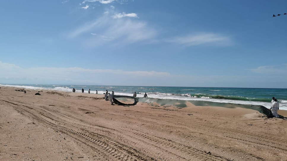 Фото: Telegram-канал оперштаба Кубани