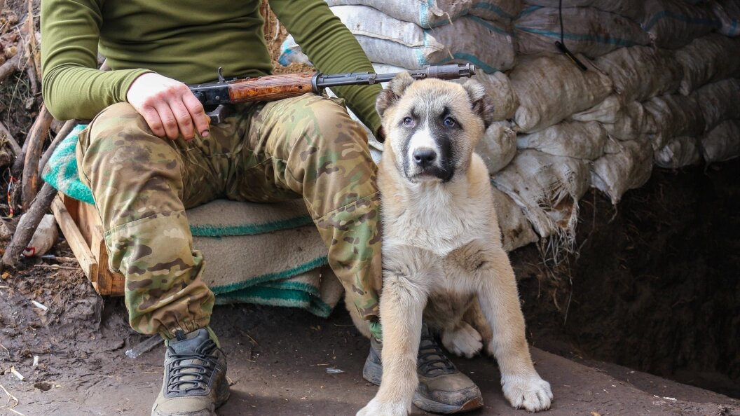    Konopatov Yuri/news.ru/Globallookpress