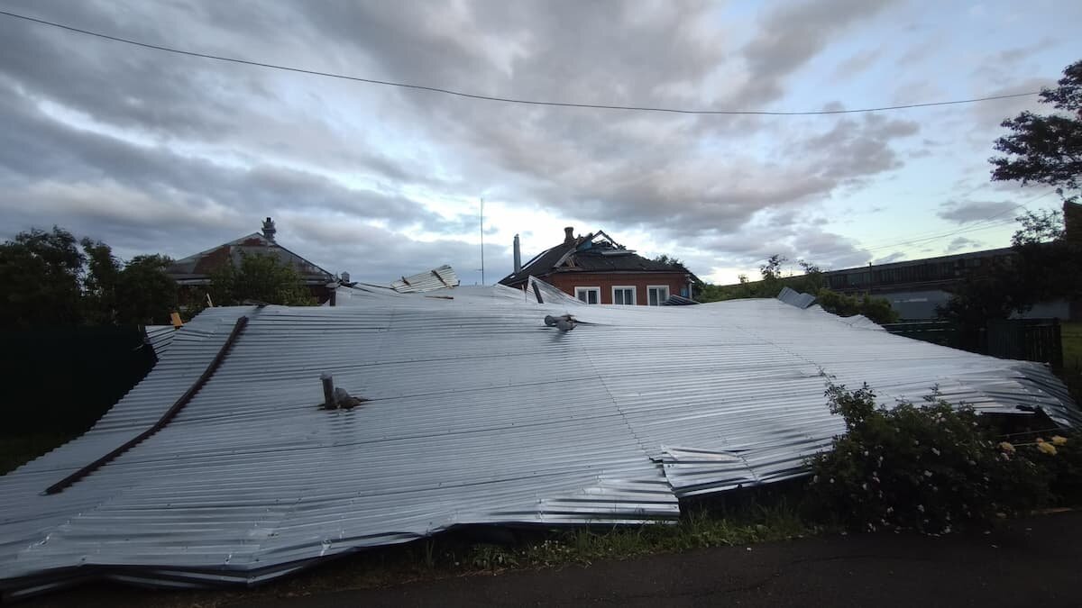    Фото t.me/mingochskk