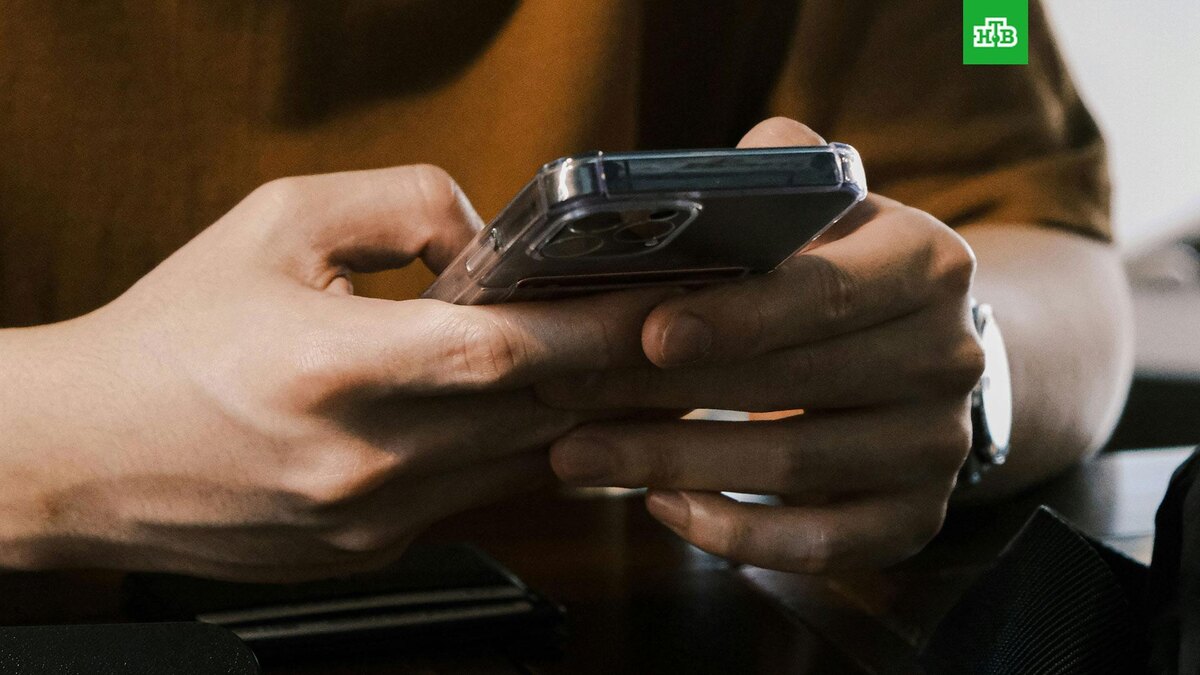    Фото: sehoon ye / unsplash.com