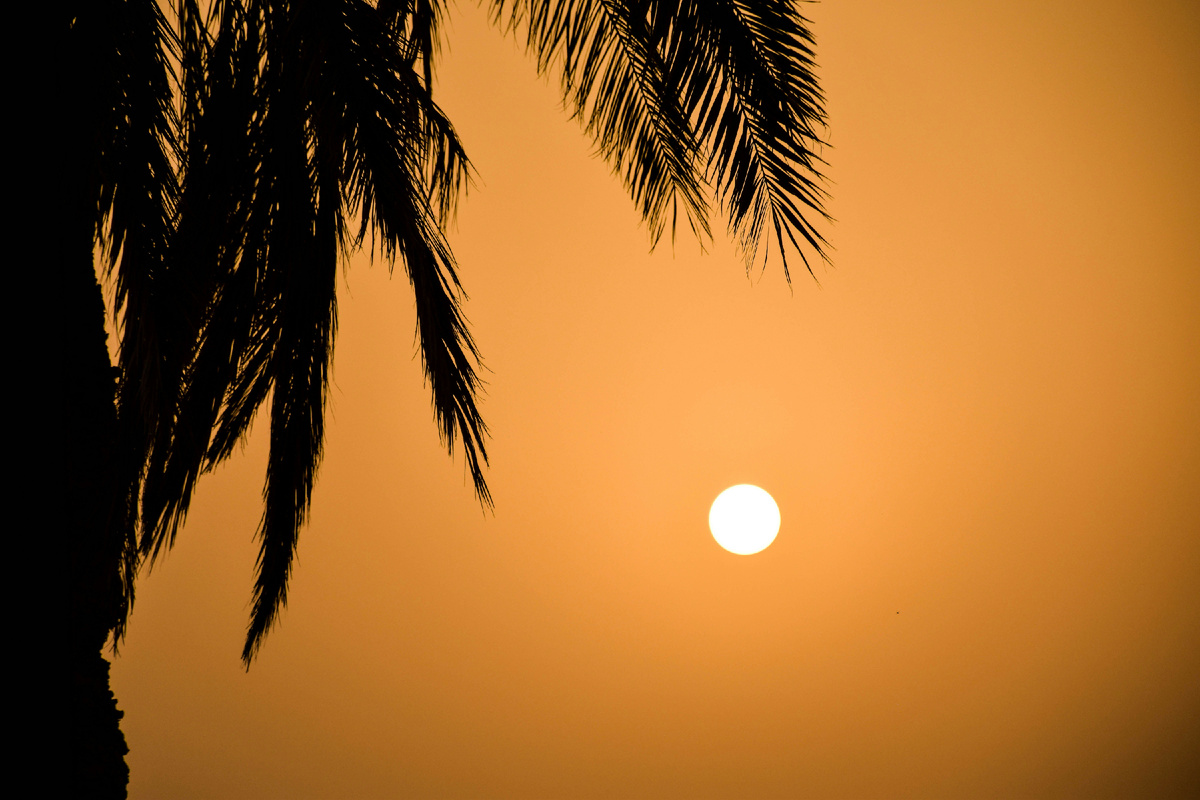 Для повседневного использования рекомендуется SPF не ниже 30. Источник фото: https://unsplash.com/.