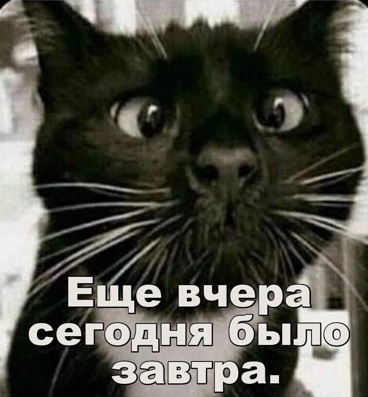 иллюстрация из яндекс картинки