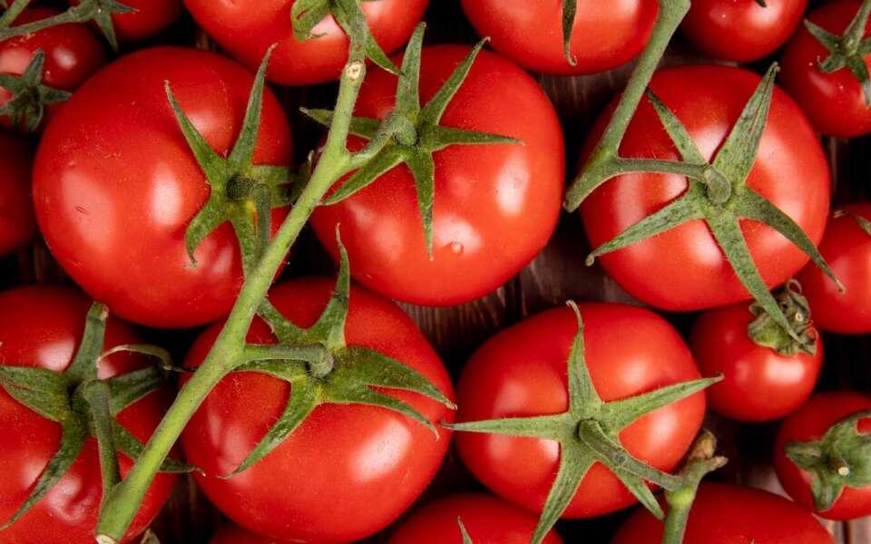    В липецких теплицах собрано более 60 тысяч тонн овощей от stockking на Freepik